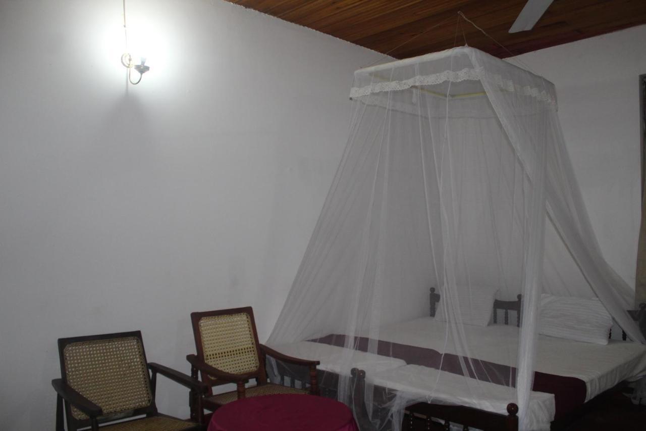 Lazy Bear Best Hostel In Kandy Exterior photo