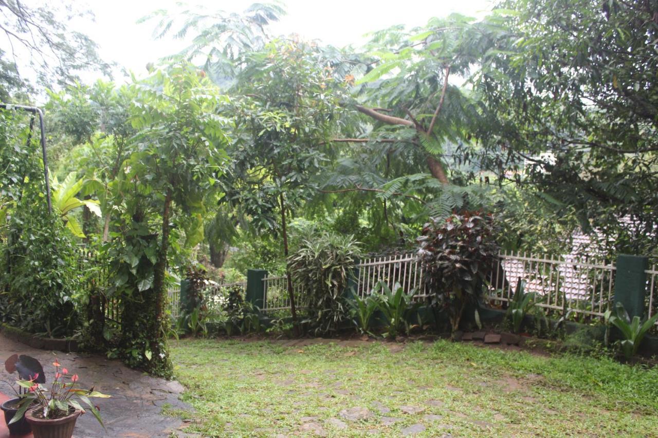 Lazy Bear Best Hostel In Kandy Exterior photo