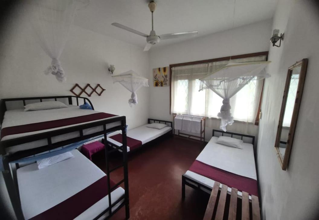Lazy Bear Best Hostel In Kandy Exterior photo
