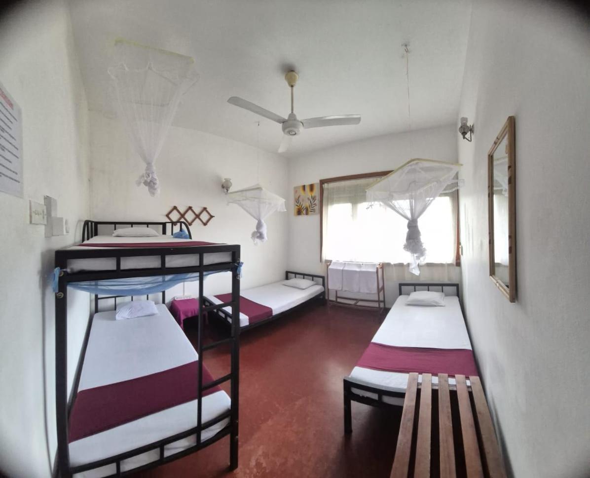 Lazy Bear Best Hostel In Kandy Exterior photo