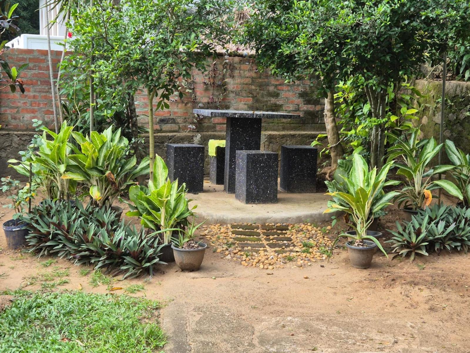 Lazy Bear Best Hostel In Kandy Exterior photo